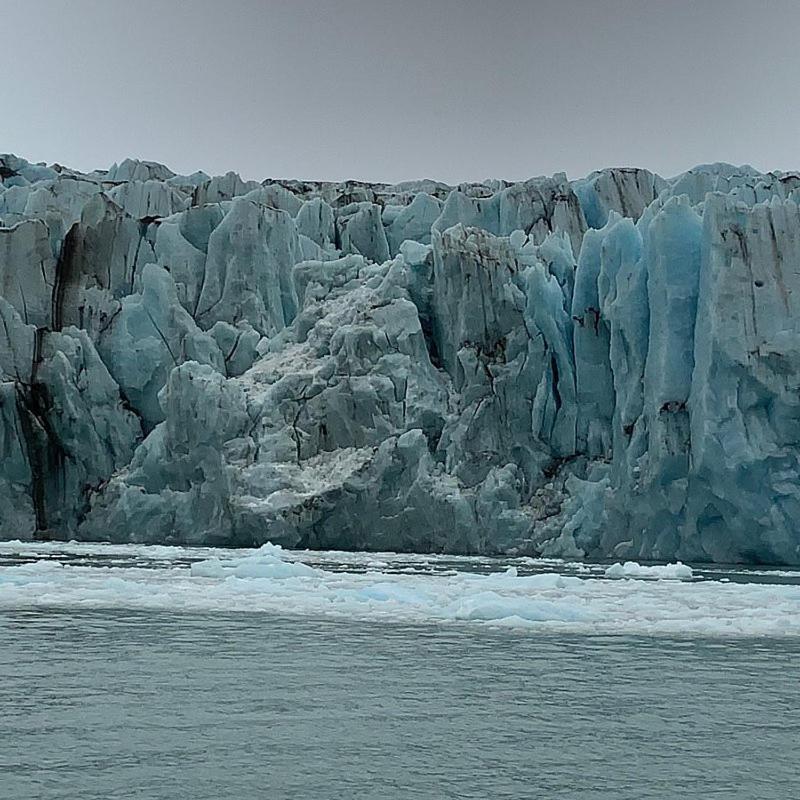 Calafate Casa En El Medio De La Ciudad Super Luminosa Daire El Calafate Dış mekan fotoğraf